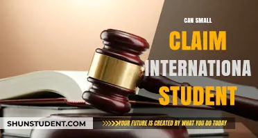 International Students: Small Claims, Big Impact