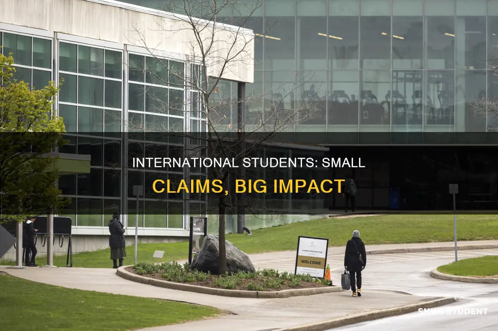 can small claim international student