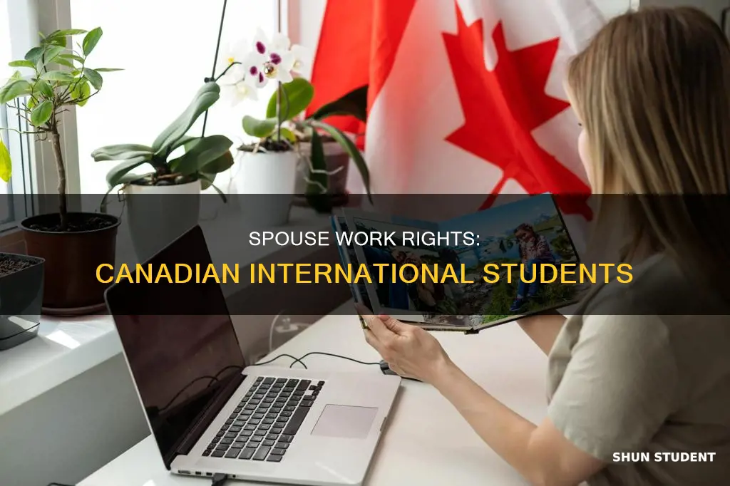 can spouse of canadian international student work
