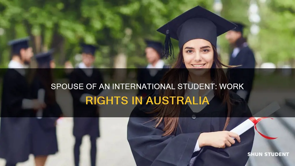can spouse of international student work in australia