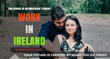 Work Rights for Spouses of International Students in Ireland