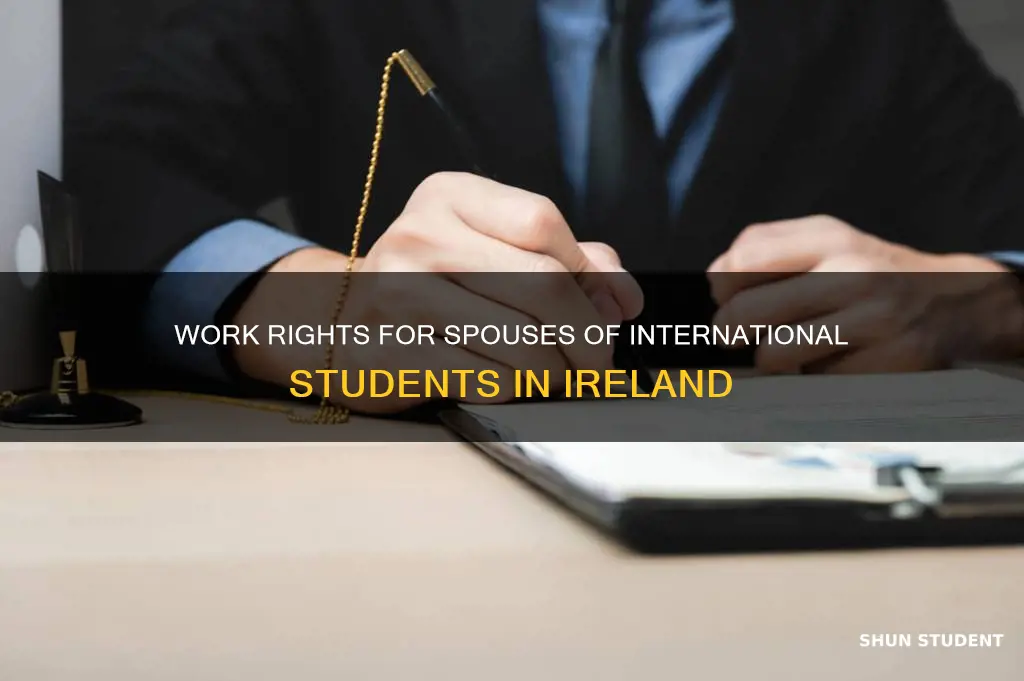 can spouse of international student work in ireland