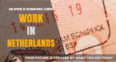 Work Permits for Spouses of International Students in the Netherlands