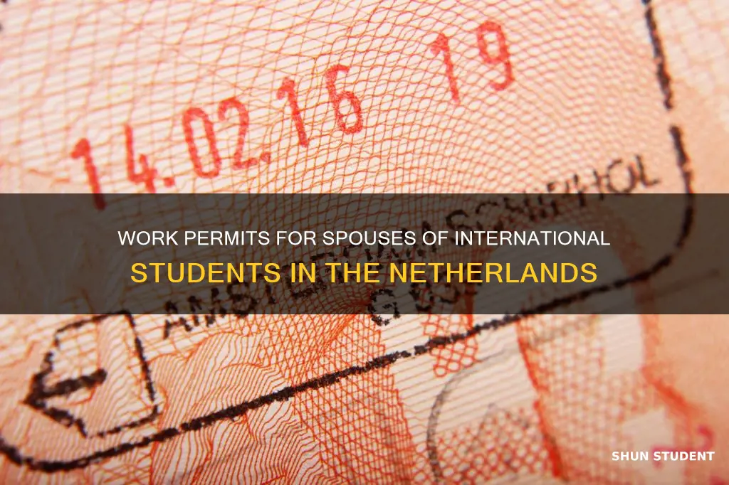 can spouse of international student work in netherlands