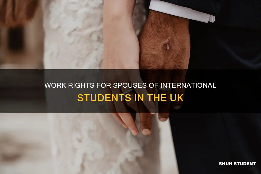 can spouse of international student work in uk