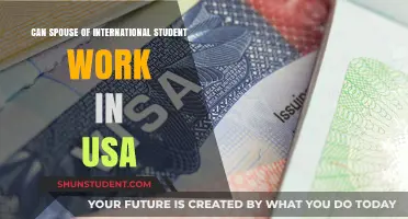 Spouse of an International Student: Work Rights in the USA