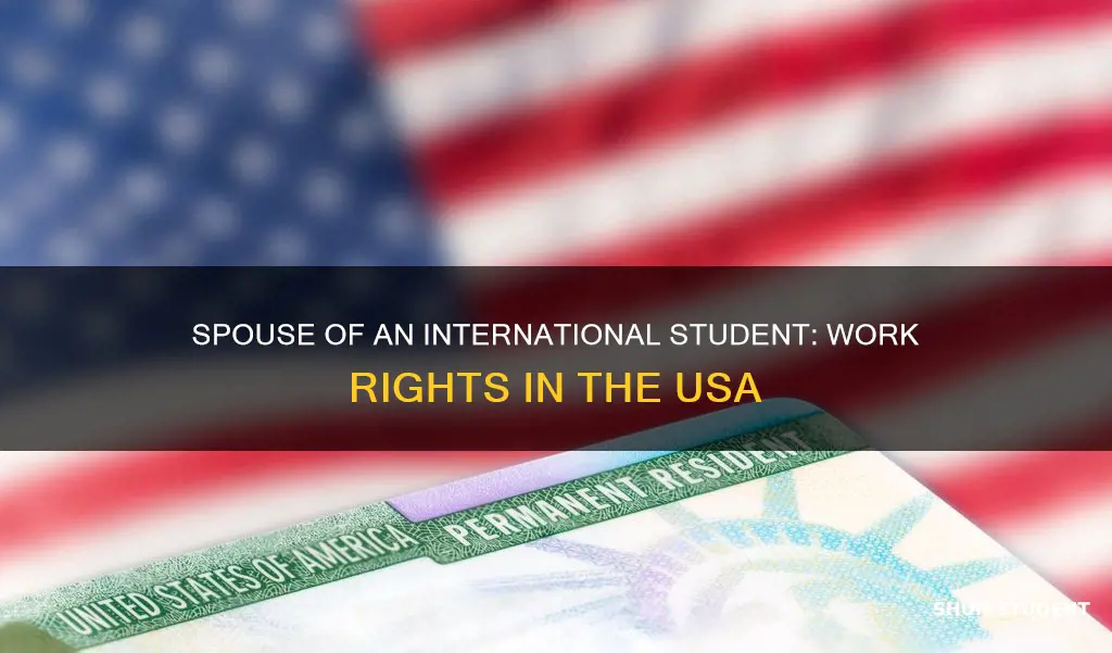 can spouse of international student work in usa