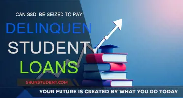 SSDI Seizure for Delinquent Student Loans: What You Need to Know