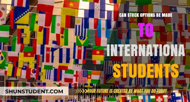 Stock Options: International Students' Eligibility Explored