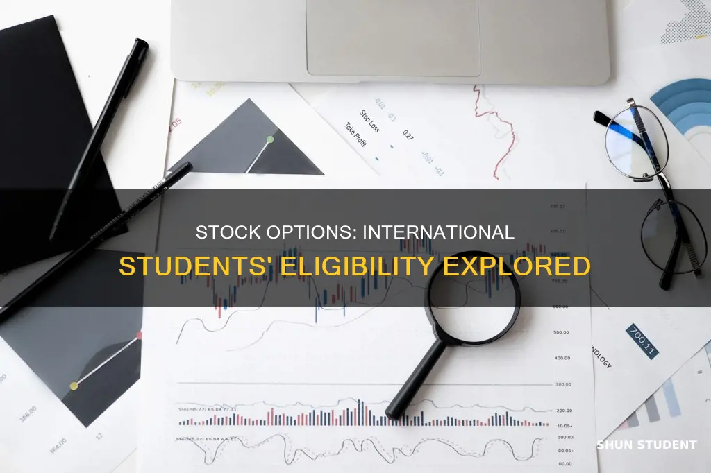 can stock options be made to international students
