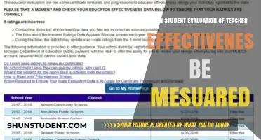 Measuring Teacher Effectiveness: Can Student Evaluations Provide Accurate Insights?