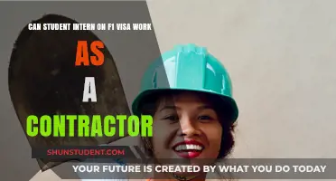 F1 Visa Student Interns: Can They Be Contractors?