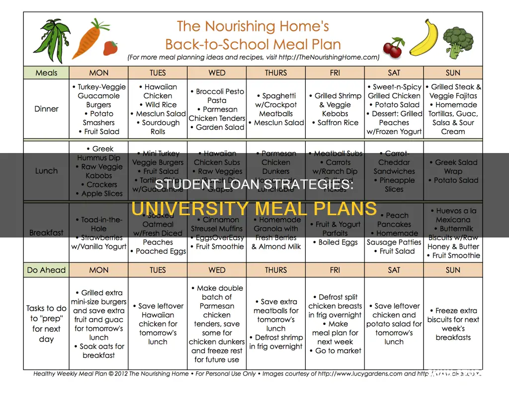 can student loan for university meal plan