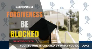 Can Student Loan Forgiveness Be Blocked? Legal Hurdles Explained
