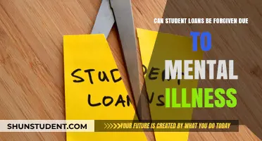 Mental Illness and Student Loan Forgiveness: Exploring Options for Relief