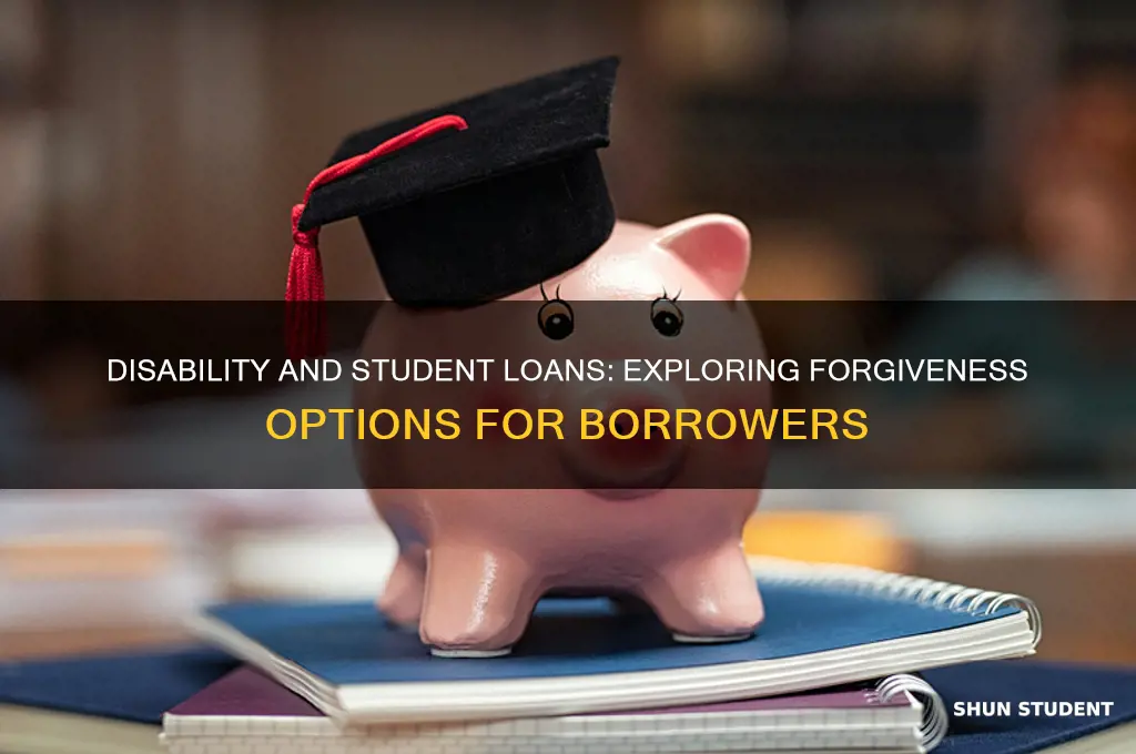 can student loans be forgiven if disabled