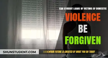 Forgiving Student Loans for Domestic Violence Survivors: A Path to Recovery