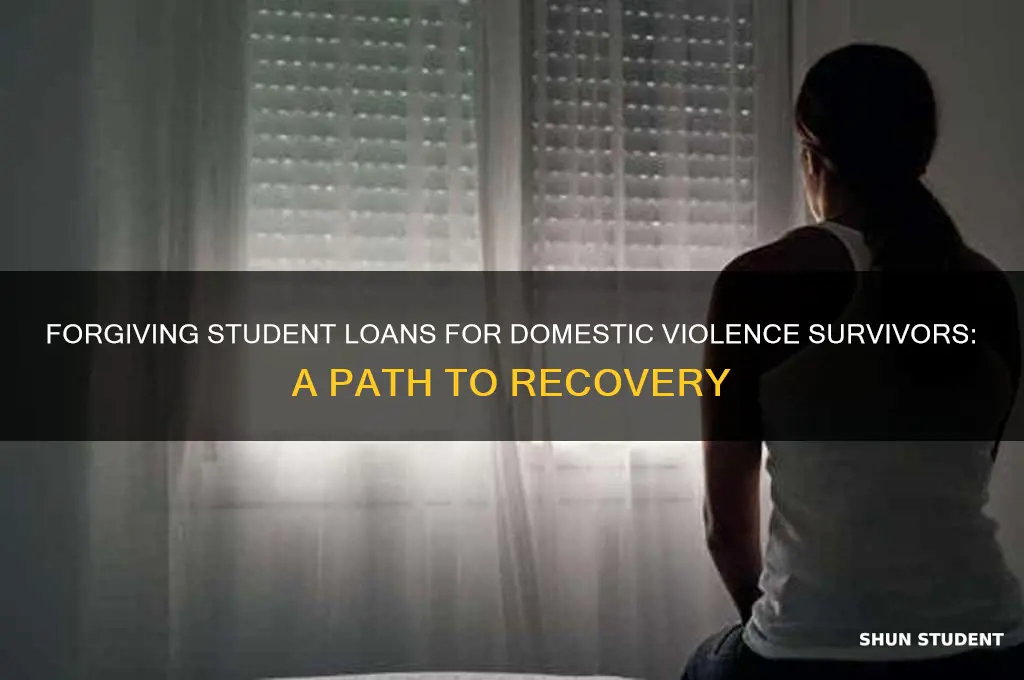 can student loans of victims of domestic violence be forgiven