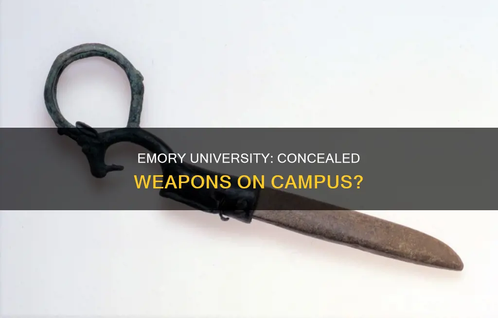 can students at emory university carry concealed weapons