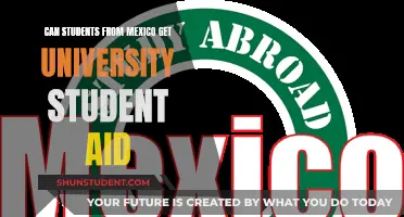 Student Aid for Mexicans Studying Abroad: What's Available?