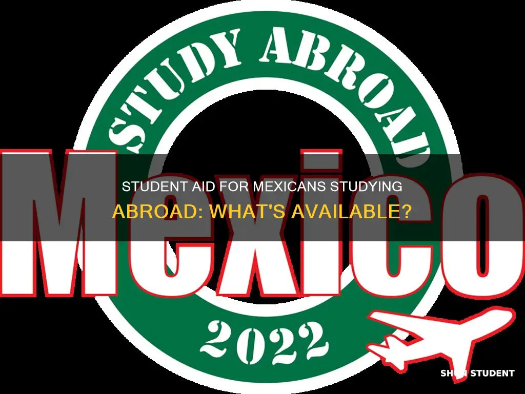 can students from mexico get university student aid