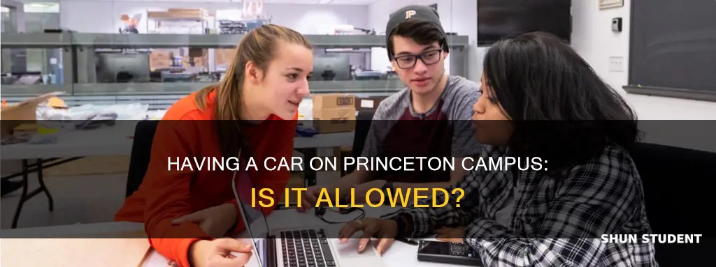 can students have cars on campus at princeton university