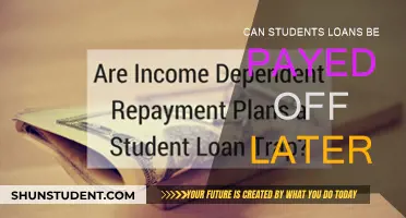 Student Loans: Can They Be Paid Off Later?