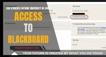 Blackboard Access: Extending Beyond University Walls