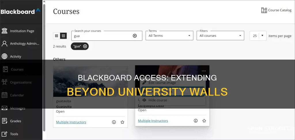 can students outside university be given access to blackboard