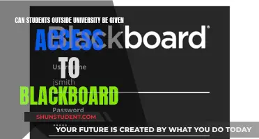 Blackboard Access: Extending Beyond University Walls
