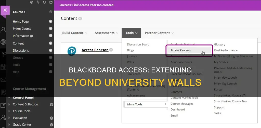 can students outside university be given access to blackboard