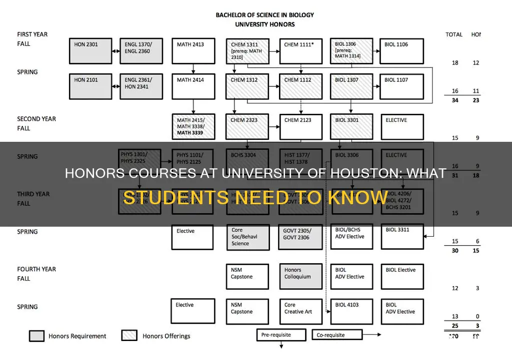 can students take honors courses university of houston