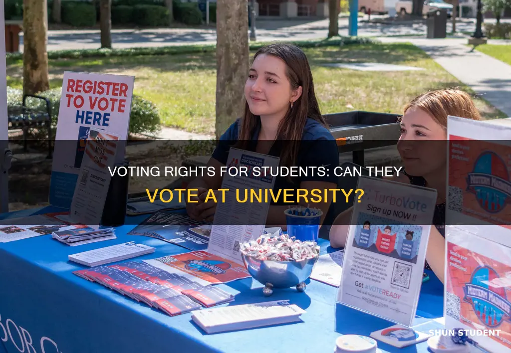 can students vote at their university