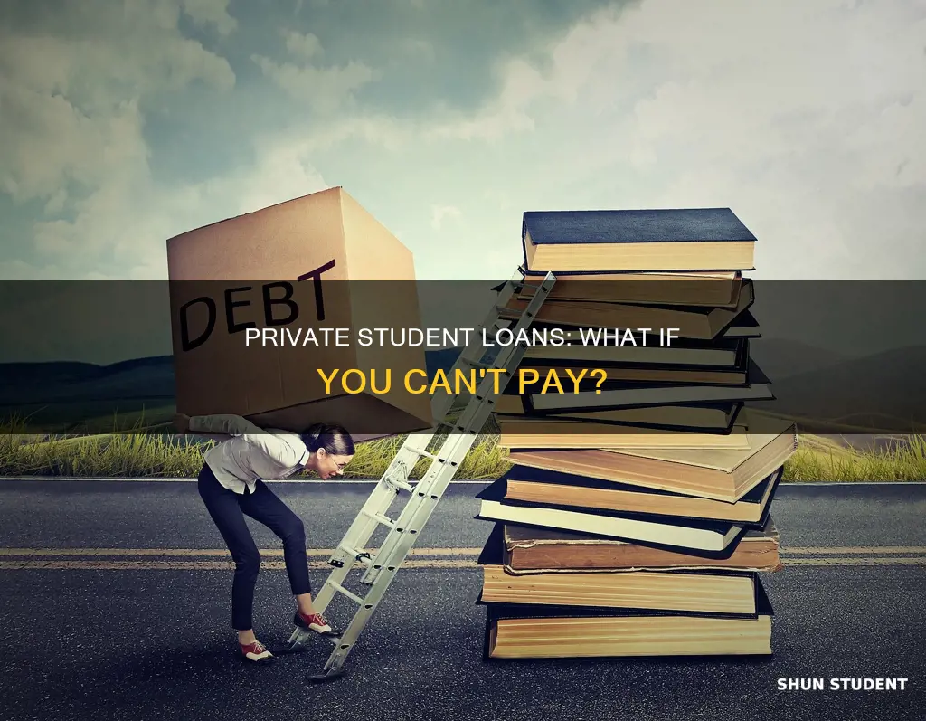 can t pay private student loans
