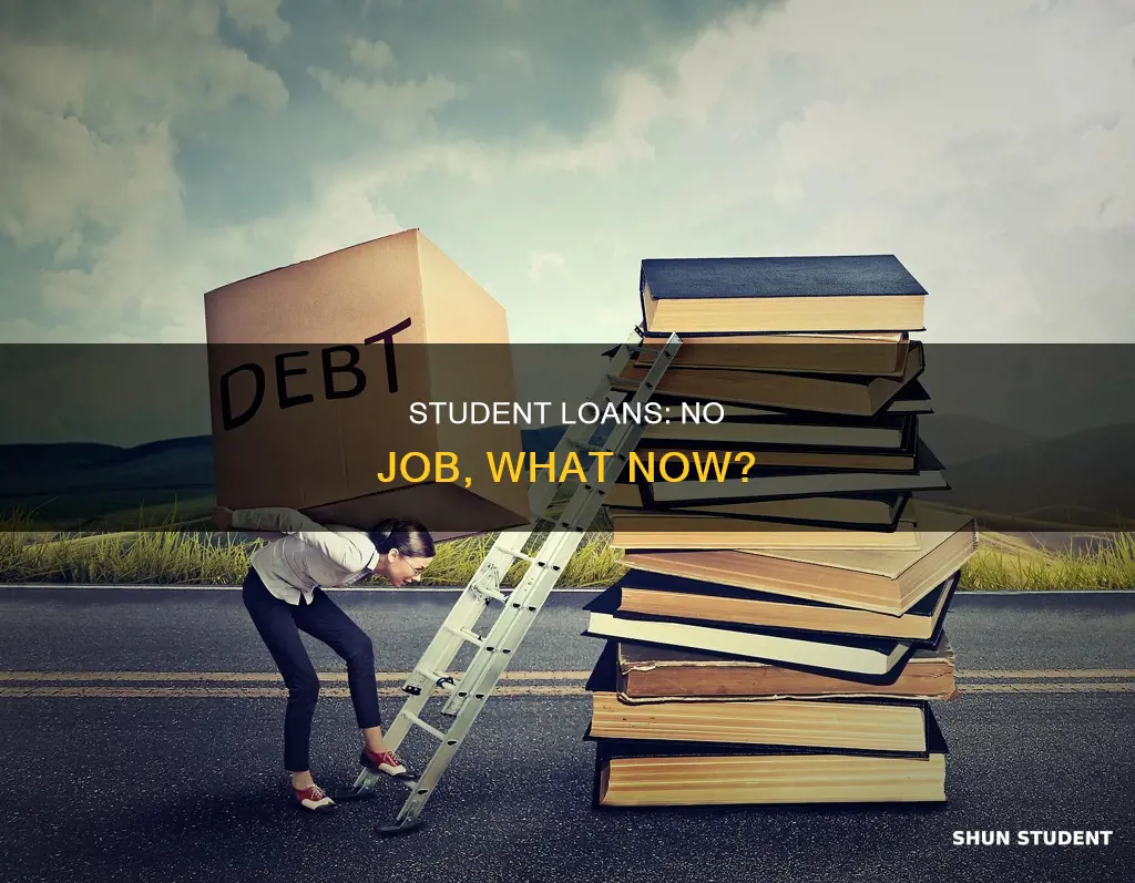 can t pay student loans no job