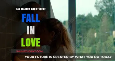 Can Teachers and Students Fall in Love? Exploring the Complex Dynamics
