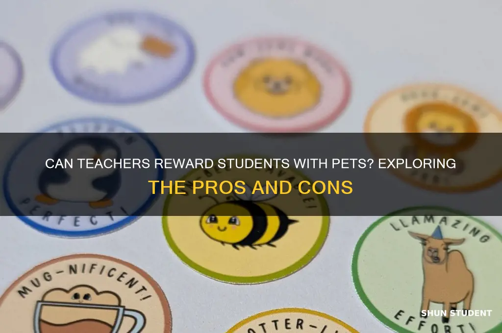 can teacher give pets to students