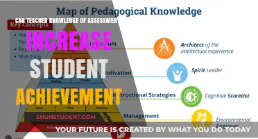 Enhancing Student Success: The Impact of Teacher Assessment Expertise