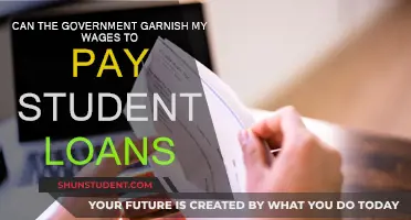 Student Loan Wage Garnishment: Can the Government Do It?
