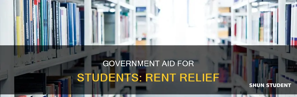 can the government help pay a college students rent