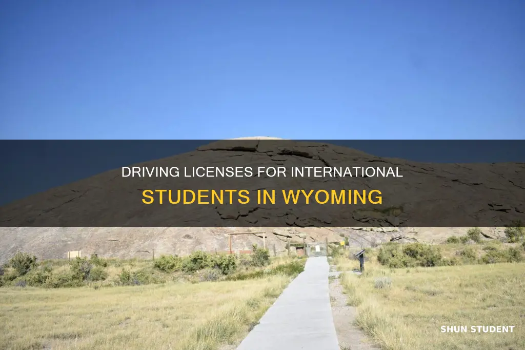 can the international students get driving license in wyoming