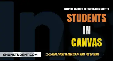 Can Teachers View Student Messages in Canvas? Privacy Explained