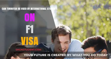 How International F-1 Visa Students File with TurboTax