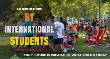 Turbotax for International Students: Is It Possible?