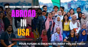 Exploring USA Study Options for Turkish Public University Students