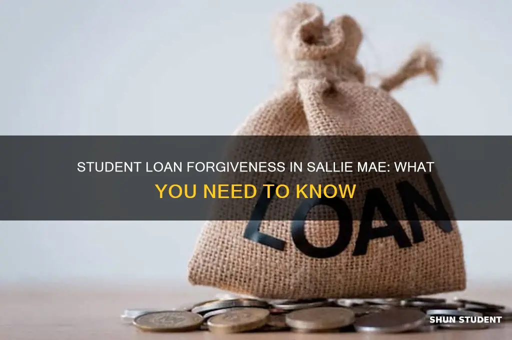 can u get student loan forgiveness in slaie mae