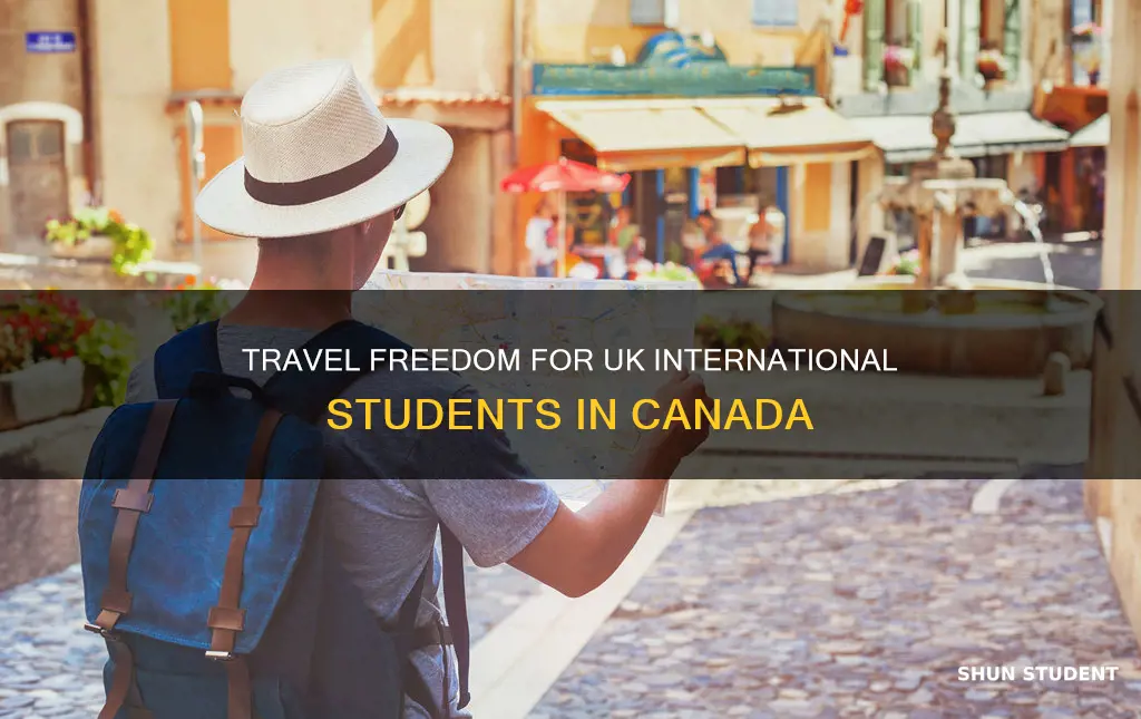 can uk international student travel to canada