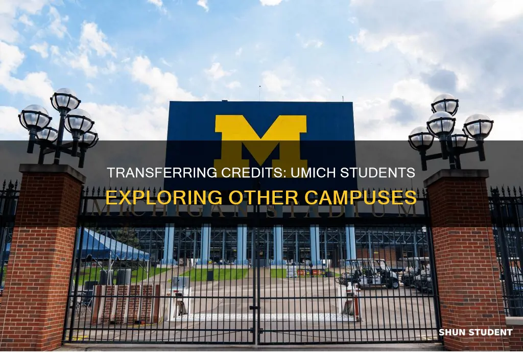 can umich students take courses in other universities