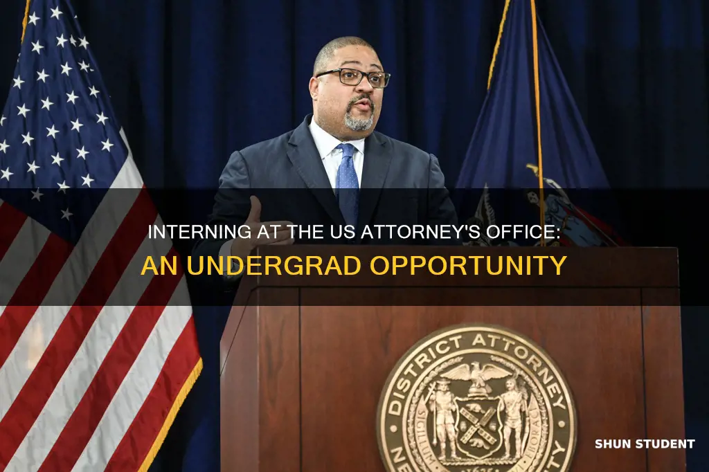 can undergrad students intern at us attorney