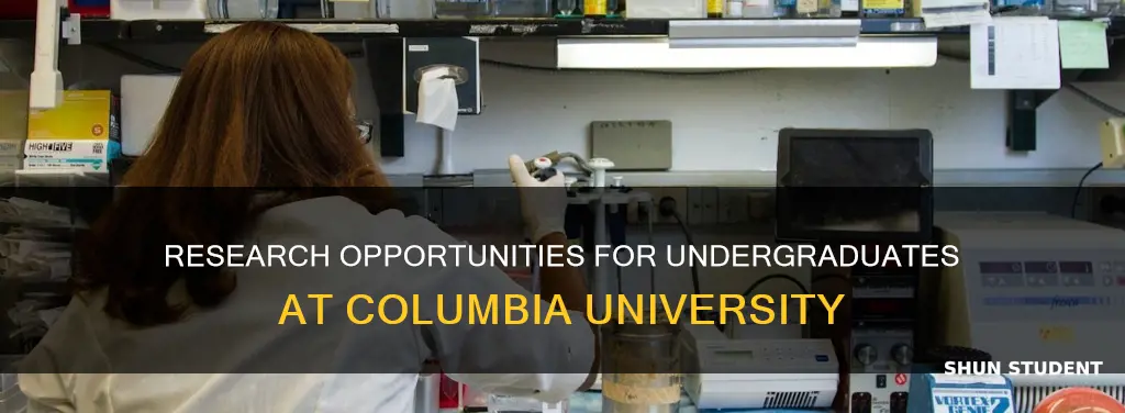 can undergraduate students at columbia university do research